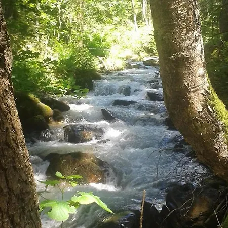 Freistehendes Ferienhaus In Idyllischer Lage *
